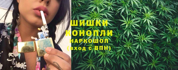 прущая мука Бородино