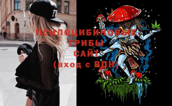 молекула духа Верхний Тагил
