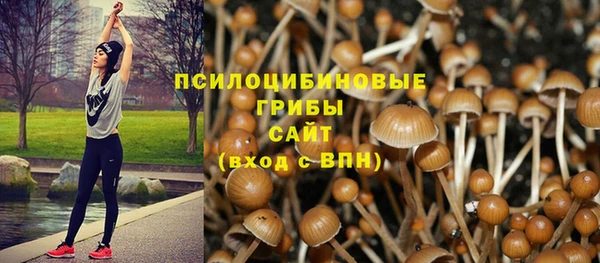 молекула духа Верхний Тагил