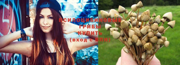мяу мяу мука Верхнеуральск