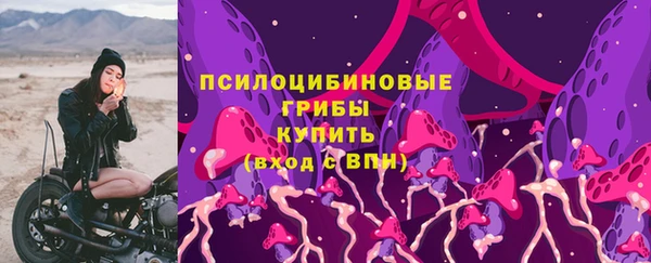 прущая мука Бородино