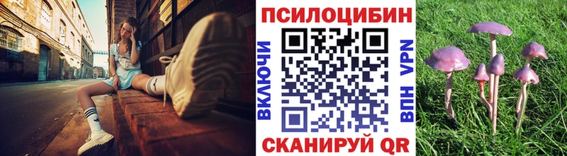 Псилоцибиновые грибы мухоморы  OMG ТОР  Набережные Челны  где можно купить  
